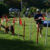 agility verriere 2011-10-01
